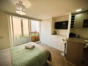 HOM I Studio en Santiago centro metro Santa Isabel SI0311