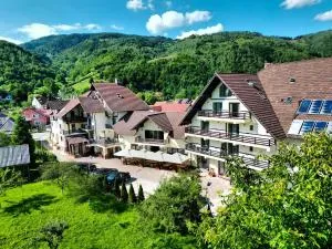 Pensiunea Andrei Moieciu - 布朗