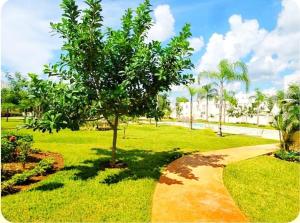 Playa del carmen entire home swim pool 13mins to beach