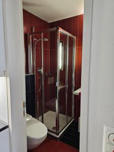 Apartment Studio Center of Bern & Up to 7 Seats Cars Rental Option