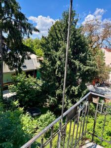 Classic Love Story in Old Cluj I