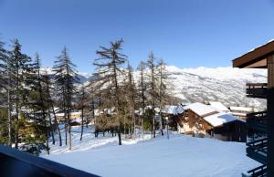 Résidence Backgammon - LE BACKGAMMON MAE-3442