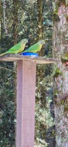 Aconchego na natureza