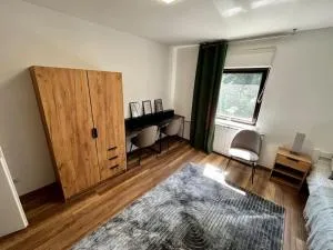 Charming flat - Rače