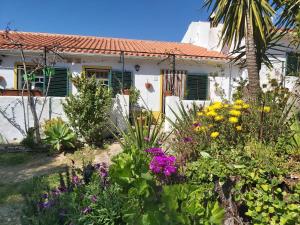 Casa Delfim - Casa Verde