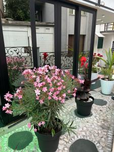 Single Room room in Halvat Guesthouse