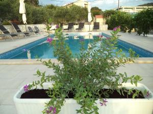 Große Wohnung in Marina mit Garten, gemeinsamem Pool und Grill