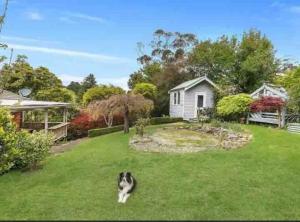 Blue Mountains charm with Spa!