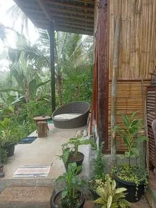 Jungle hous - Blimbing