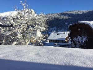 Appartement rénové 3 pièces proche Pleney avec parking, wifi et animaux admis - FR-1-754-86