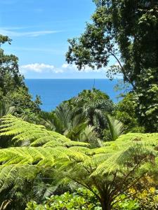 Ginger and Cacao, Luxury Villas and Cottage with Pool and Ocean Views