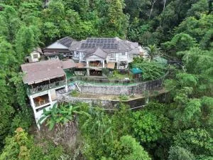 Hickory Penang Hill - Datang Selamat