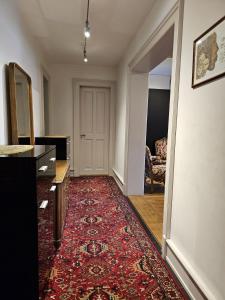 Double High-End Central Apartment & Up to 7 seats Cars Rental Option