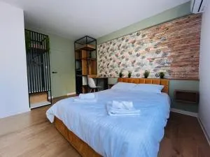 Moxa Residence - Pîglişa