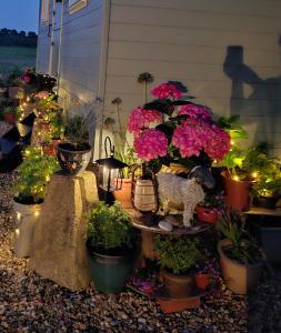 Luxury Shepherds Hut - The Hyde