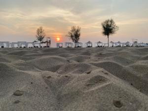 Appartamento Valamar Nikolla 2 camere