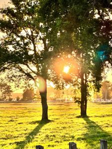 Maisons de vacances Maison face au lac : photos des chambres