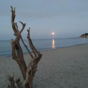 choreftohouse - Agii Saranta