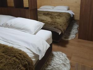 Golden Eagle Jelovica