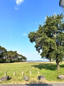 Maisons de vacances Maison face au lac : photos des chambres