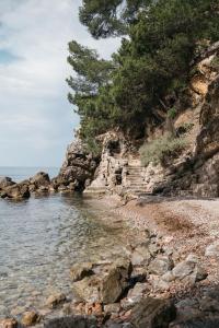 Maisons d'hotes Room dhte in an exceptional villa : photos des chambres