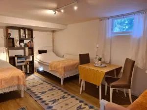 Forestview Landvetter airport bnb - 布罗斯