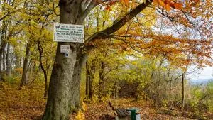 Bauer Linde's Ferienwohnung - Veckenstedt