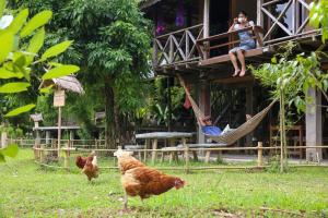 Hang Tueng farm stay Chiang Mai แฮงตึง ฟาร์มสเตย์ เชียงใหม่