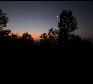 Tamang Homestay in Parewakot Chitwan -Chitwan Nagarkot - Debichaur