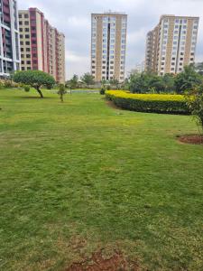 Jsons Nextgen suites