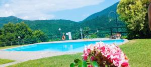 schönes Ferienhäuschen in ruhiger Lage für max. 4 Personen mit Pool