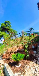 schönes Ferienhäuschen in ruhiger Lage für max. 4 Personen mit Pool