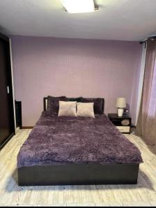 Вила Николета