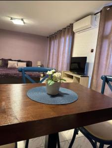 Вила Николета