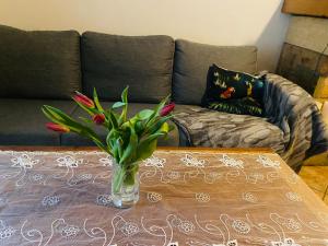 Cozy oldtown apartment next of Town hall square