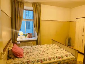 Cozy oldtown apartment next of Town hall square