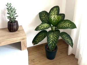 Alloggio Turistico Sonia