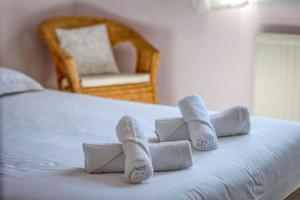 Appartements Le Marianne - GEM - Gare - Garage : photos des chambres