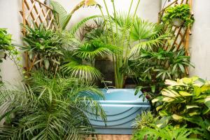 Old Quater Tropical House