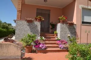 La Mimosa - Bolgheri