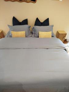 B&B / Chambres d'hotes Grange du lac : photos des chambres