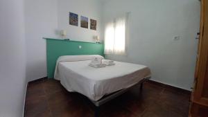 Apartamento rural Entreolivos