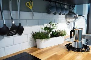 Appartements Le Cozy Sud-Gare : photos des chambres