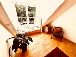 MESSE, Uniklinikum, Grugapark - Charmante Wohnung mit Dachterrasse in guter Lage