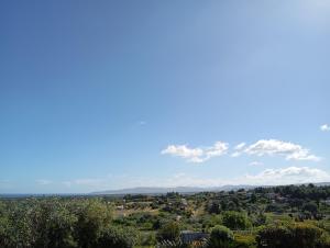 All ombra del carrubo img45