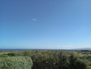 All ombra del carrubo img46