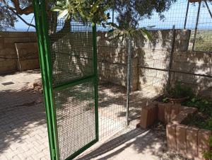 All ombra del carrubo img38