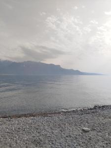 B&B / Chambres d'hotes Grange du lac : photos des chambres