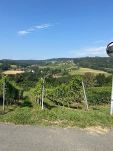 Ferienhaus Familie Lebbing