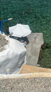 Traditional Waterfront House